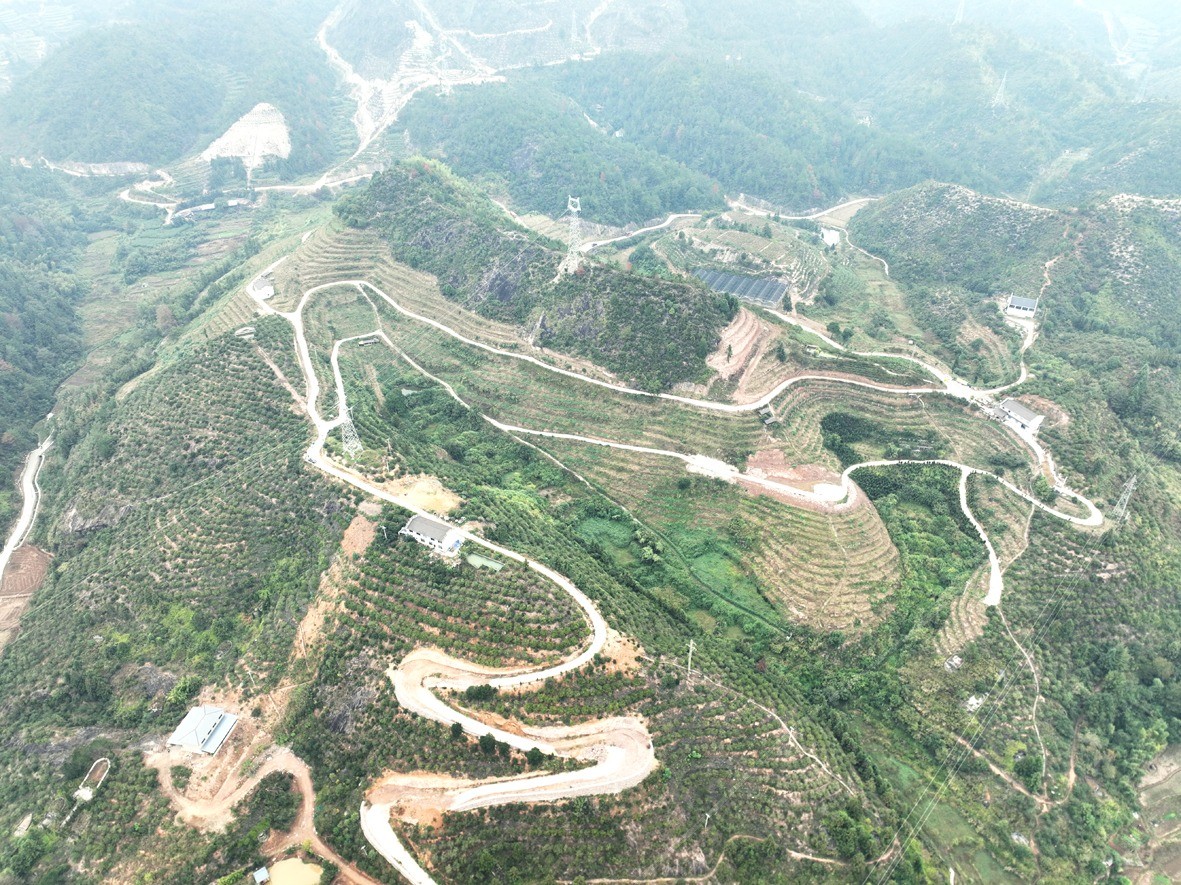 凤凰山街道贵溪村 | 千亩油茶林