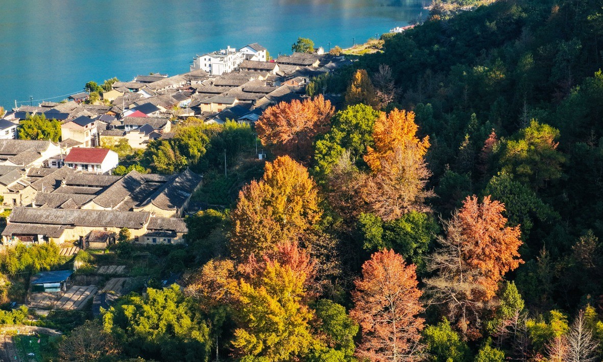 紧水滩镇石浦村