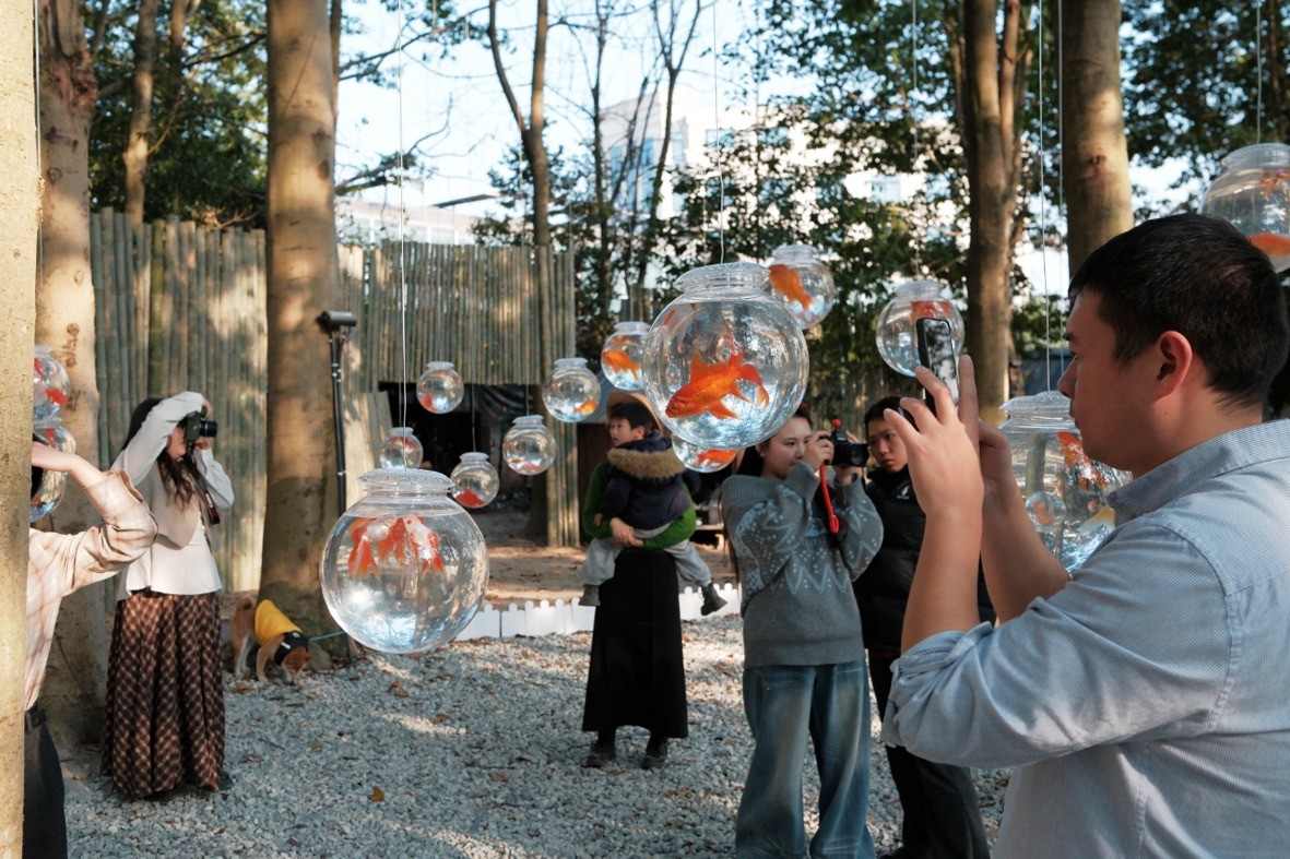 游客在观赏金鱼