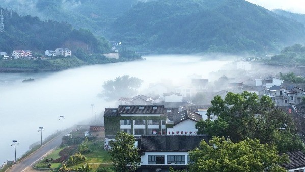 紧水滩镇石浦村