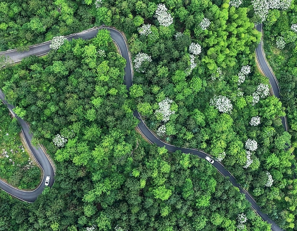 崇头镇吴坪自然村的通村公路